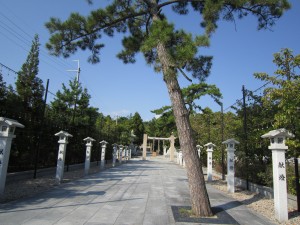 img_0700