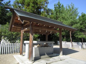 img_07111