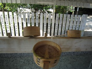 img_0713