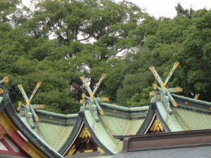 img_0768