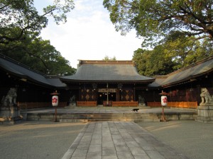 img_0852