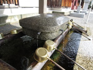 img_0878