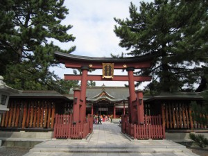 img_0879