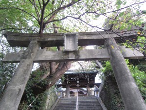 img_1067