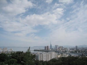 img_6262