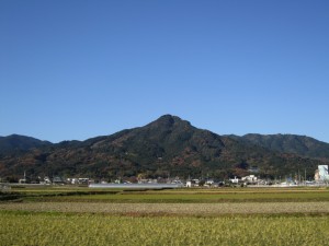 img_1617