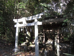 img_1682