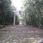 img_1683