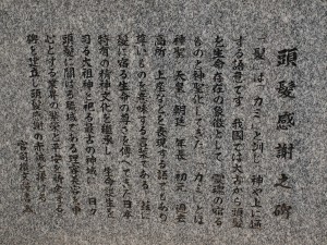 pc151403