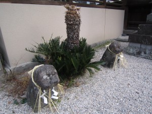 img_0022