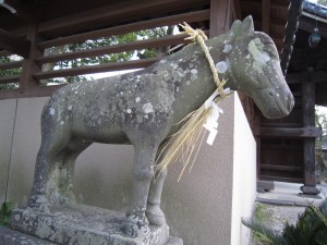 img_00231