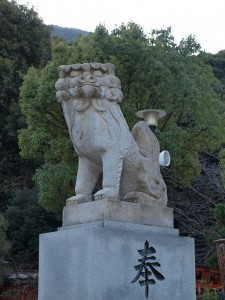 p1141579