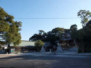 p1141584