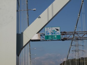 p1141595