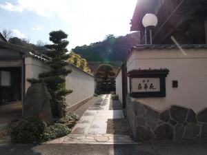 p1141636