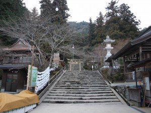 p1141692