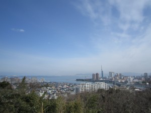 img_0961