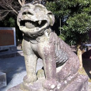 img_65041 img_65041