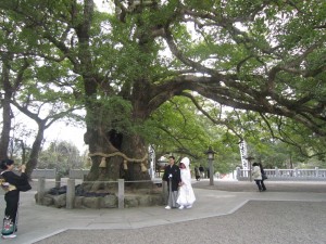 img_0015