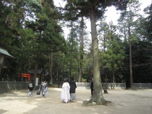 img_00211