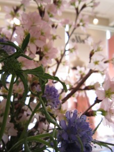 img_1104 img_1104