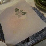 img_0033 img_0033