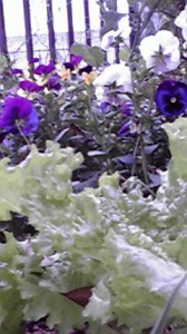 20110520162600011