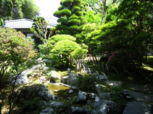 img_0159