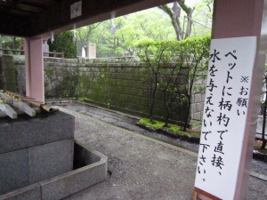 img_00032