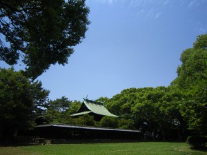 img_00232