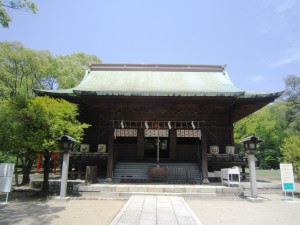 img_00252