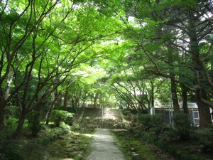 img_00014