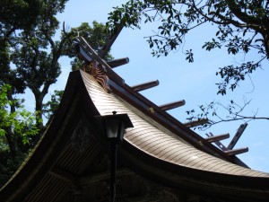 img_00091