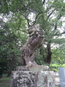 img_0030 img_0030