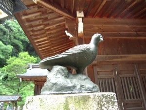 img_00361