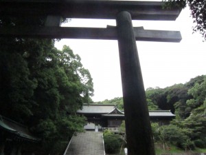 img_0044