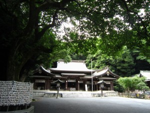 img_00492