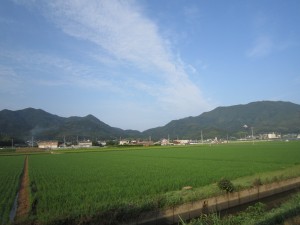 img_0809