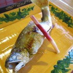 img_0851 img_0851