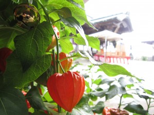 img_0885