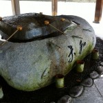 img_912011