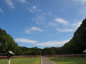 p7121833