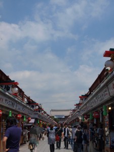 p7131839