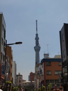 p7131842
