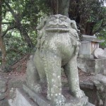 img_00091 img_00091
