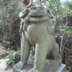 img_00101