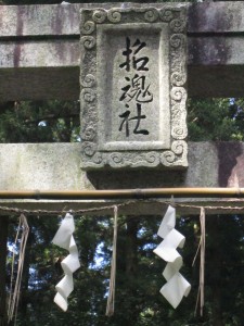 img_00322