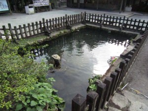 img_00491