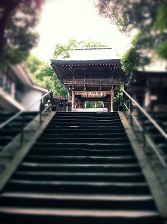 img_075311
