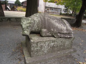 img_12501